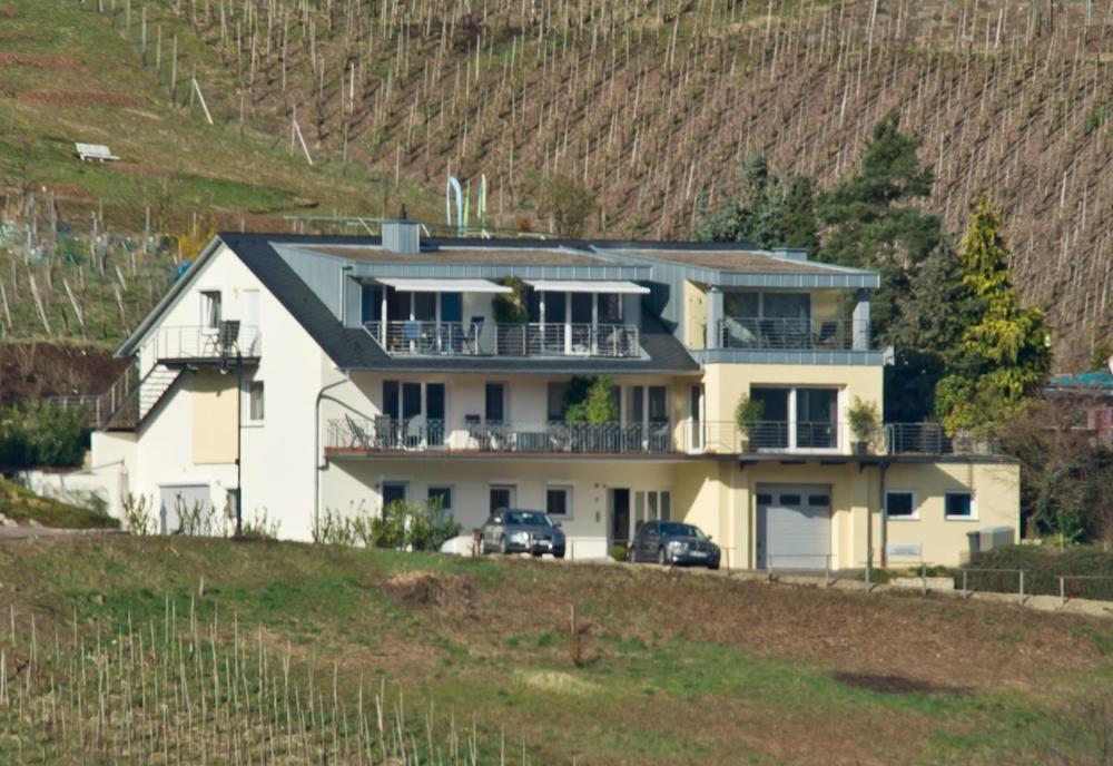 Ferienhaus Panorama Mosel Reil Exteriör bild