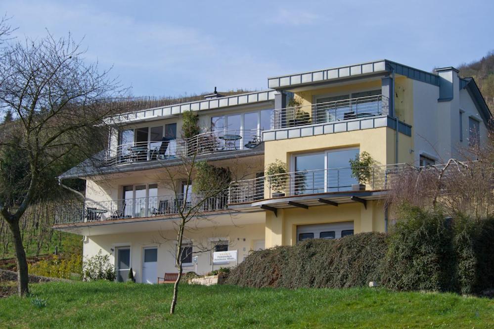 Ferienhaus Panorama Mosel Reil Exteriör bild