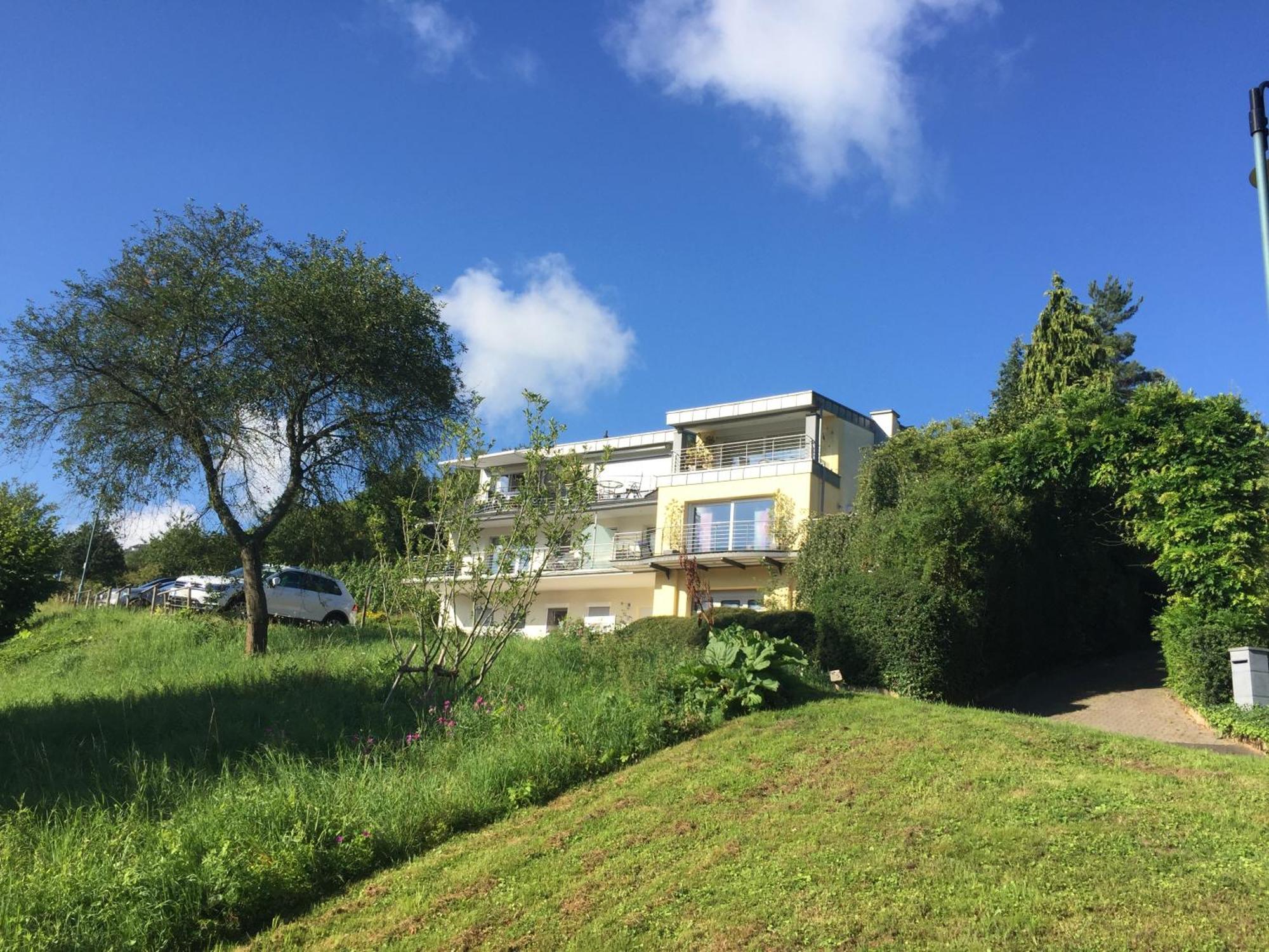 Ferienhaus Panorama Mosel Reil Exteriör bild